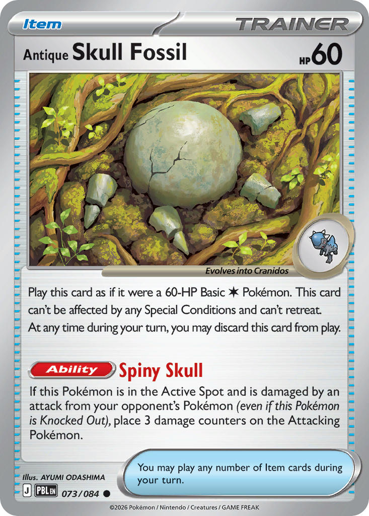 Antique Skull Fossil | Pitch Black 73/84