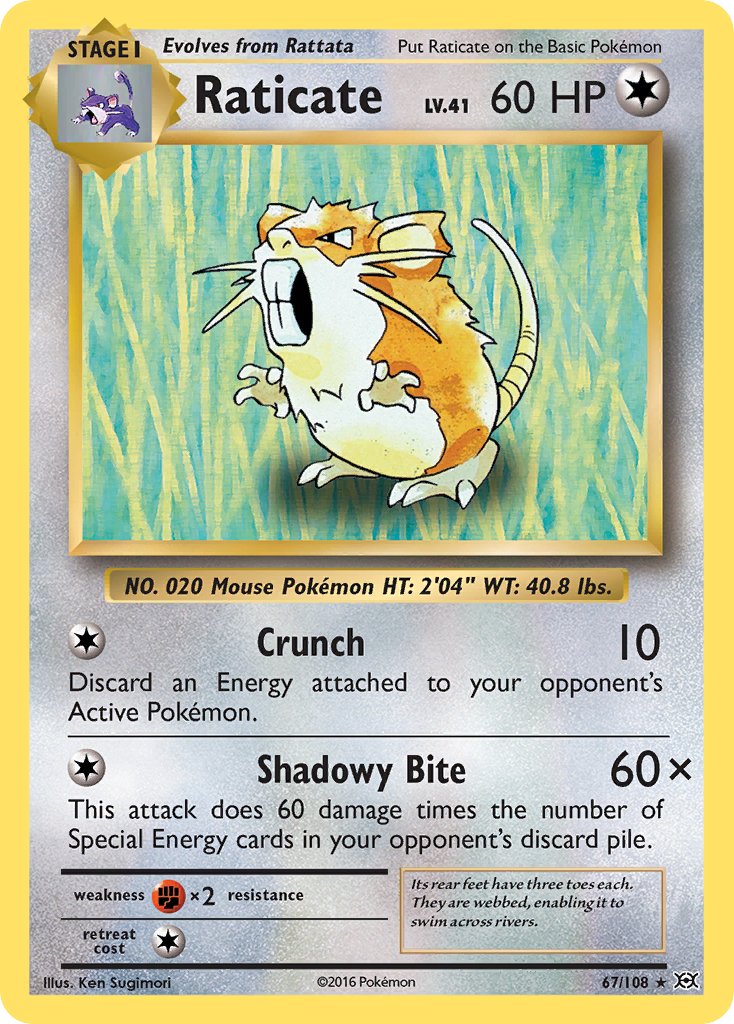 Raticate | Evolutions 067/108