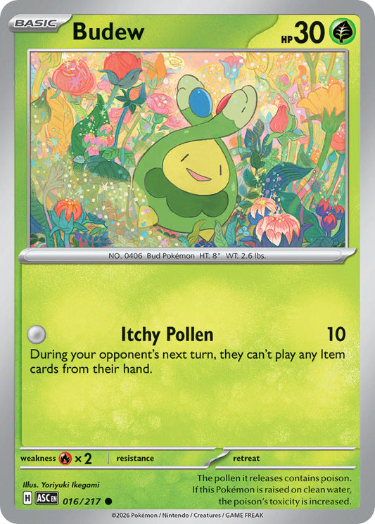 Budew | Ascended Heroes 16/217
