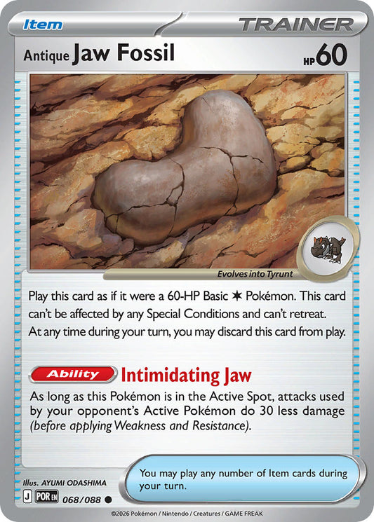 Antique Jaw Fossil | Perfect Order 068/088