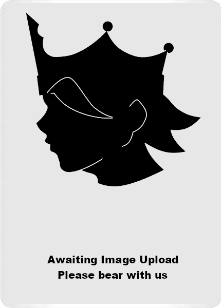 BetelGammamon BT8-013-P